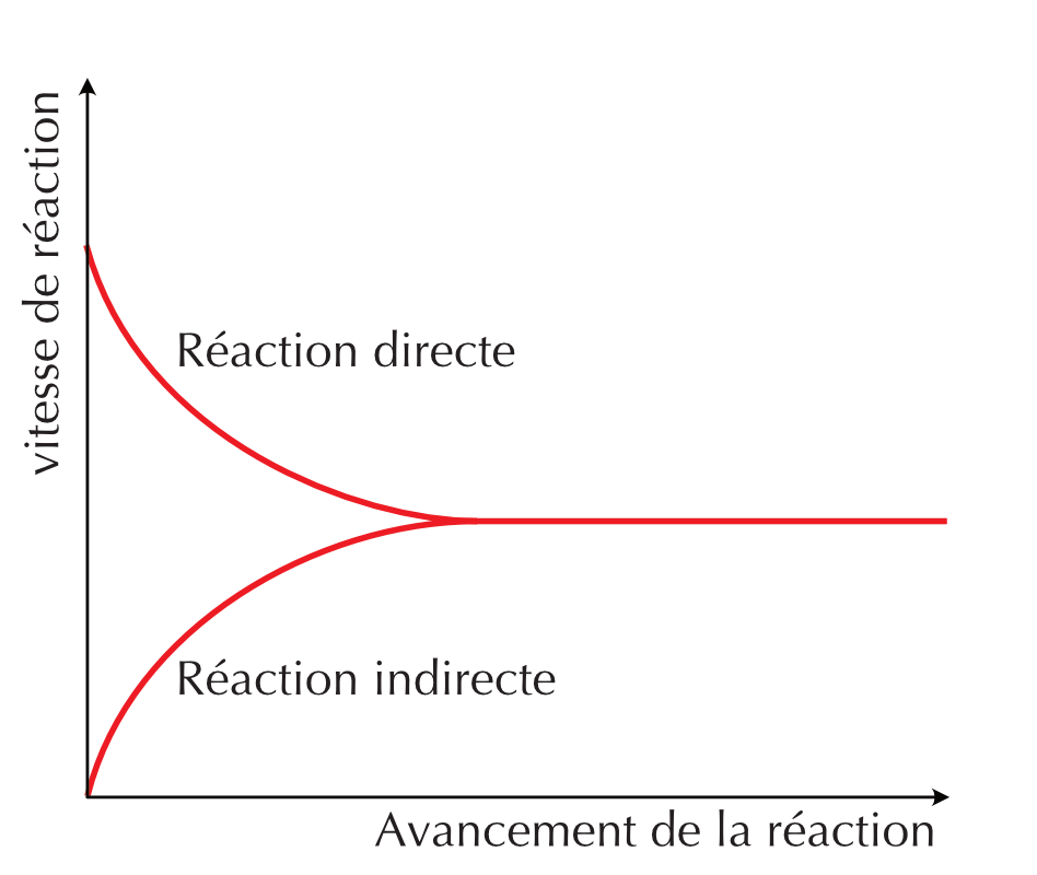 Profiles de la vitesse de réaction en fonction du temps de la réaction directe et indirecte